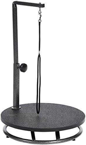 Product Reviews 1 3196rZL8b0L. AC AllThingsReviews