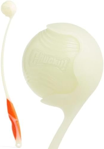 Chuckit! Pro Fetch Toy: 7 Ultimate Strategies for Best Results 2 31NcYD9wDjL. AC AllThingsReviews