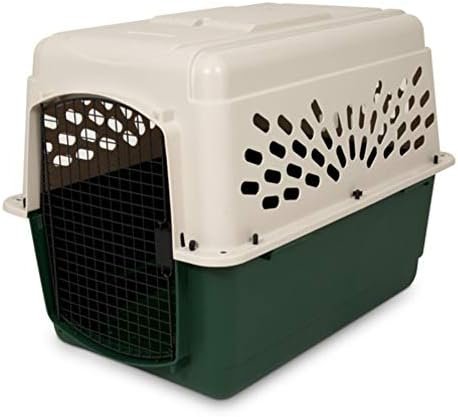 41U5AYGhrqL. AC 1 AllThingsReviews