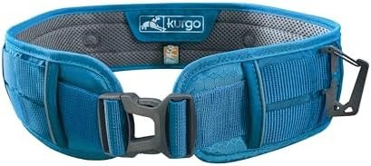 41dpigePHL. AC AllThingsReviews