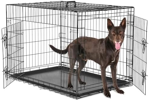 Product Reviews 4 51j53cbRuSL. AC AllThingsReviews