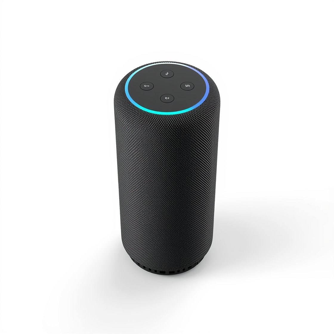 Amazon Echo Dot (newest model)