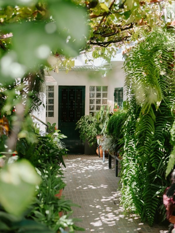 pexels-harriet-b-392993362-18687550 pexels-harriet-b-392993362-18687550